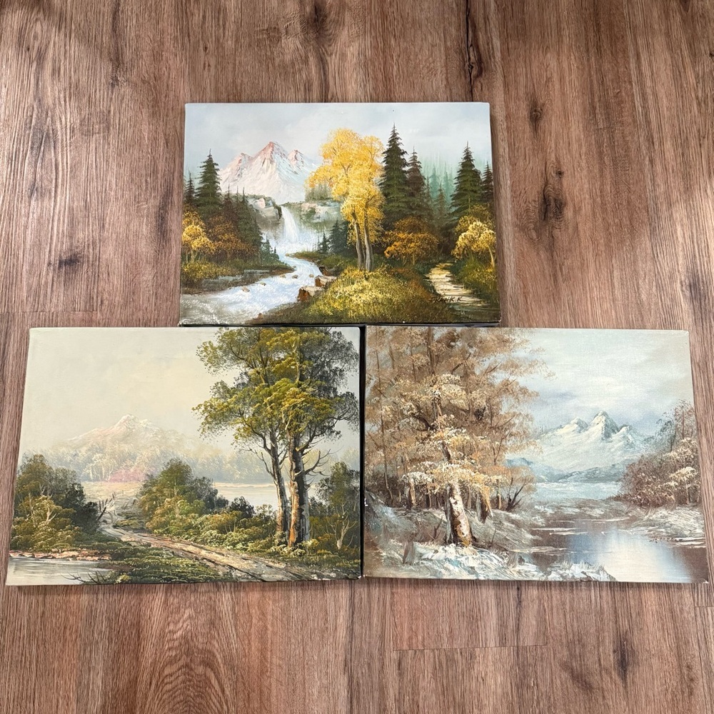 Original Oil Painting Signed Mountain Trees Nature Waterfall Seasons Set 3 16x12
